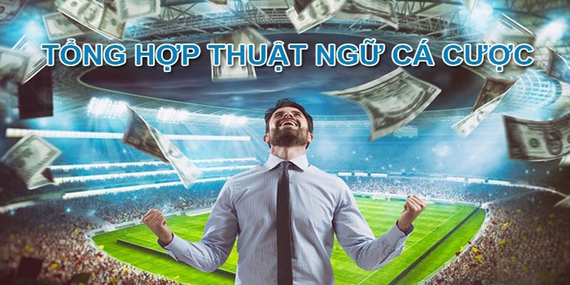 Thuật ngữ cá độ thể thao cơ bản, quen thuộc nhất