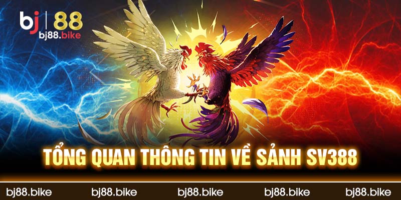 Tổng quan thông tin về sảnh SV388