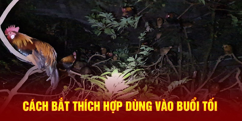 Cách bắt thích hợp dùng vào buổi tối 